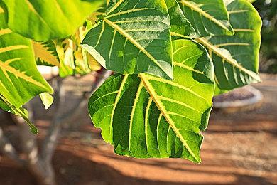 复古外设制造商Hyperkin发声致歉：以后不再放鸽子了